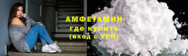стафф Алзамай