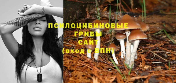 гидропоника Абдулино